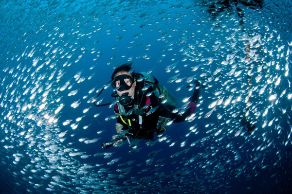 Cedar Pride Wreck - Aqaba