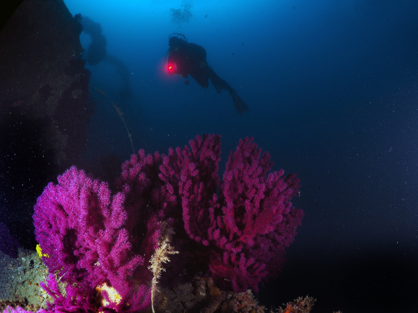 Captain Franco Wreck - Dardanelles